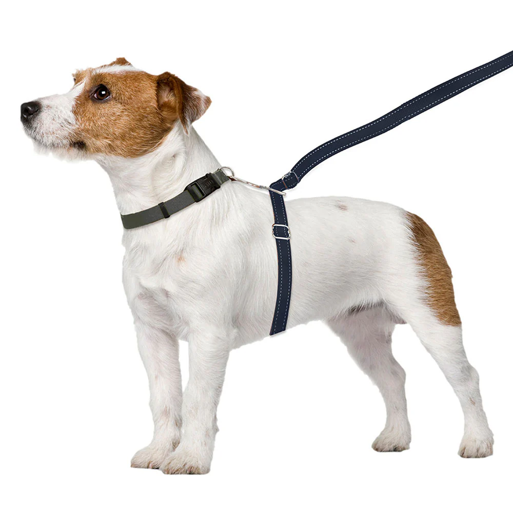 No-Pull Training Leash
